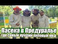 Сбор лучшего липового меда 2022/ Как сделать натуральный мёд/ Пчеловодство