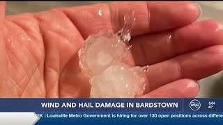 Early morning wind and hail cause damage to Nelson County homes