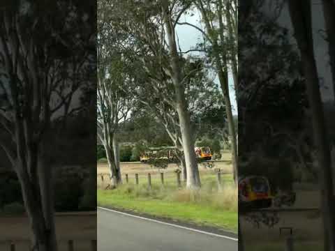 Racing the train