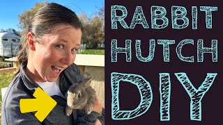 DIY Rabbit HUTCH & Our THREE BUNNIES