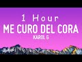KAROL G Mientras Me Curo Del Cora Letra Lyrics 1 HOUR KAROL G Mientras Me Curo Del Cora Letra Lyrics 1 HOUR