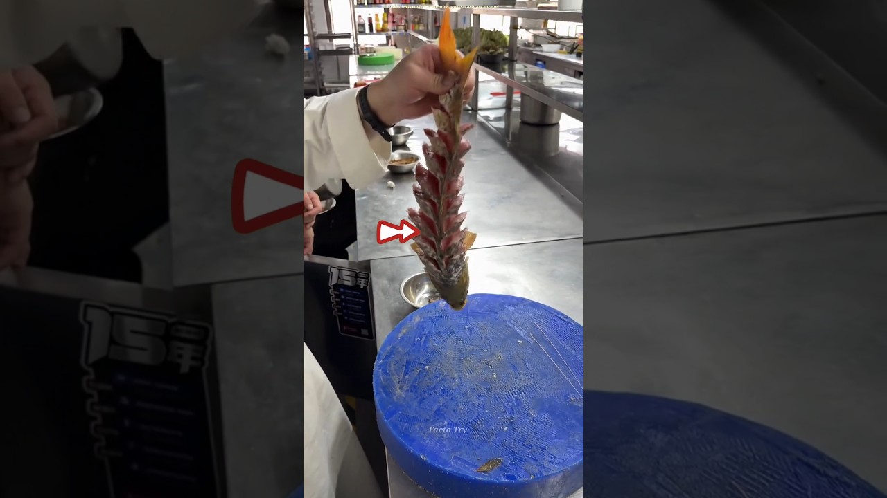 Why Professional Shops Make Fish Look So Perfect | Satisfying Fish Preparation 