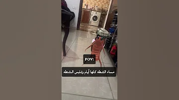 مساء الشطه كلها أيام وتلبس الشنطه Trending اكسبلور Funny Explore Viral Trend Shorts 