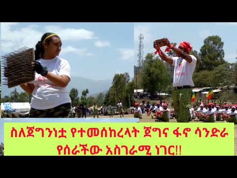 ቪዲዮ: ሳንድራ ማክግሪጎር - ትራይፕሳቭቪ