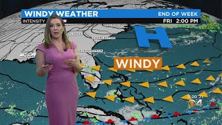Celebrity CBSMiami.com Weather 2-28-22 11PM Wealth