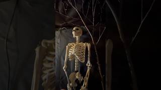 カルシウムが豊富な骨を鑑賞することで自身の骨の状態を把握できた気がした