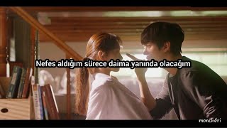 Chanyeol , Punch - Go Away | Türkçe Çeviri (Romantic Doctor Kim2 ost)