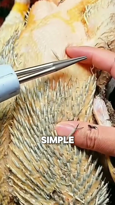 Electric Poultry Feather Plucker: Game Changer for Chicken Prep! 🐔⚡ #shortsviral #animals #funny