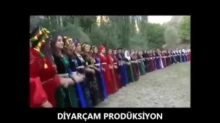 Bismilli Zeko - Çeme Bismil Govend Grani Halay Kurdısh Folk Musıc Kliba Nu