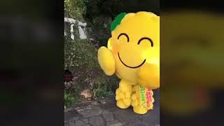 立磐神社に行って幸せパワー充電♬