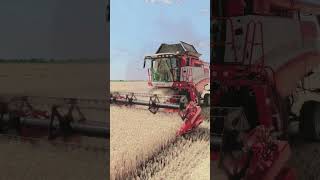 combine harvester #automobile #swarajshop #farming #mpketractorking #jcb #agriculture #combine