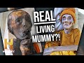 Exploring Longevity and Mysteries
