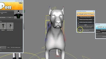 My Pose Python Script