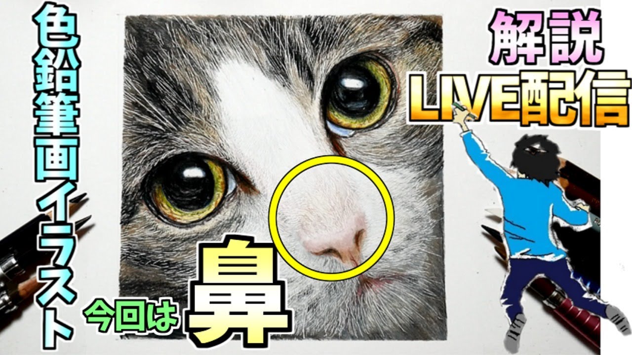 色鉛筆画イラスト塗り方解説ライブ 鼻の描き方編 - YouTube