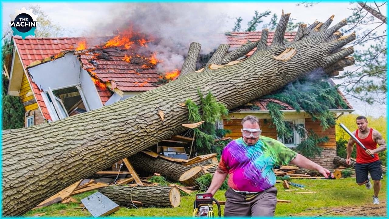 Extreme Dangerous With Chainsaws Tree Cutting Fails | Heavy Machinery ...