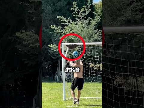 골대에 매달린 말벌집을 건드리자 벌어진 일 🐝