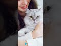 #cat #facts #lifeisbutadream #haveitoldyoulatelythatiloveyou #animals # #shortvideo # #cute