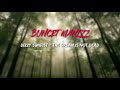 dizzy sunfist