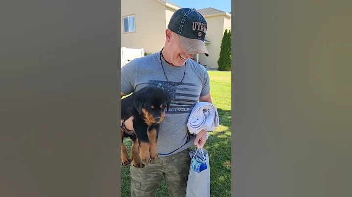 He is a future service dog. I am so excited for hi...