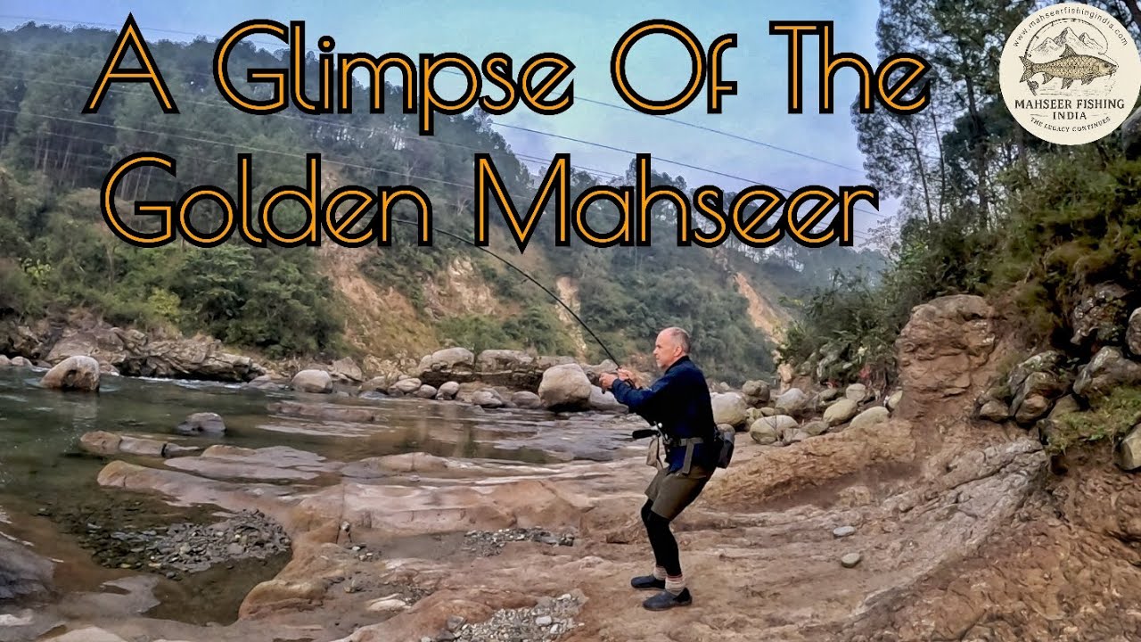 Battling a Himalayan Golden Mahseer in Himachal Pradesh, India
