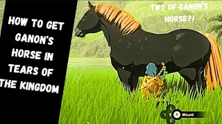 Ganon’s Giant Horse Location | Zelda: Tears of the Kingdom Tutorial