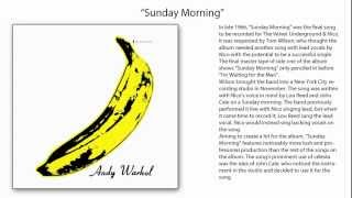 Video thumbnail of "The Velvet Underground & Nico - Sunday Morning (Mono)"