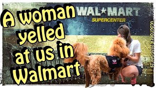 Walmart service dog harassment | Shopping with my service dog |   #servicedogharassment