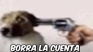 Shitposting Compilation V8