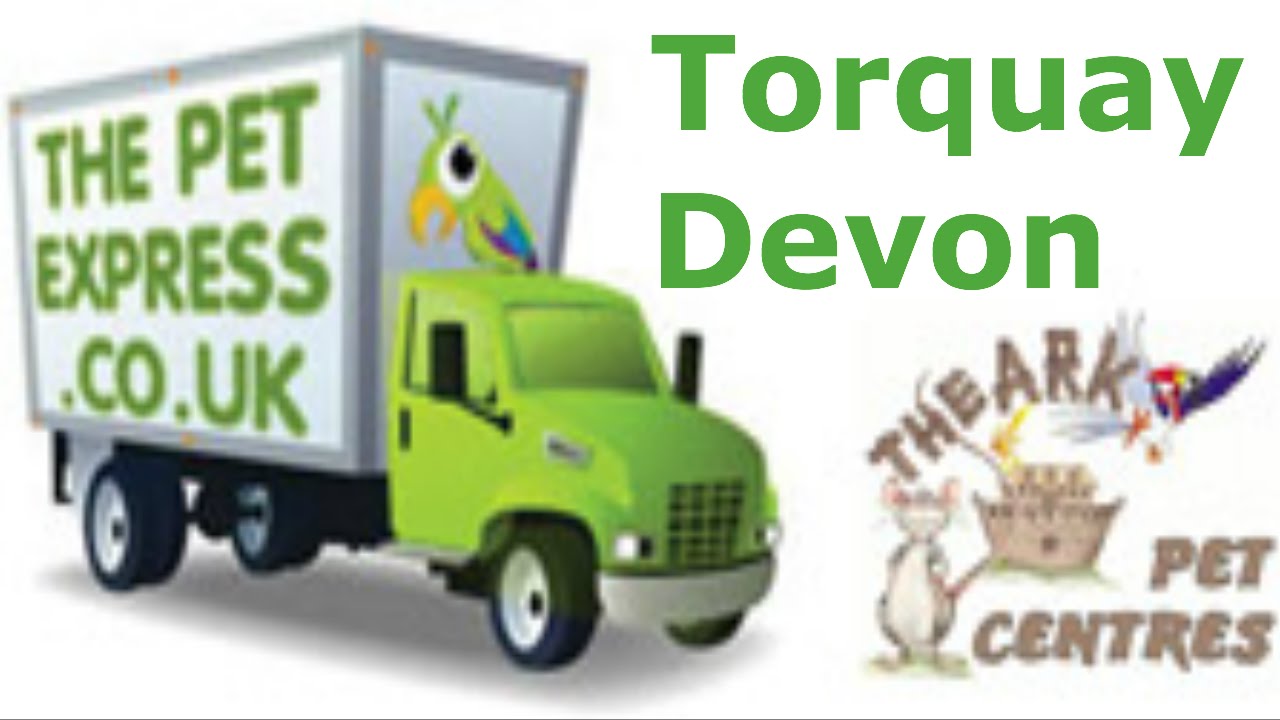 The pet express pet shop, the pet ark shop, Market street pet shop