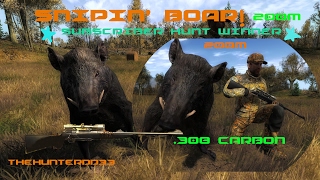Snipin' Boar & SUBSCRIBER Hunt Winner!!  THEHUNTER 2017 screenshot 1
