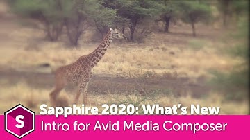 Sapphire 2020: Introduction to New Features for Avid Media Composer
