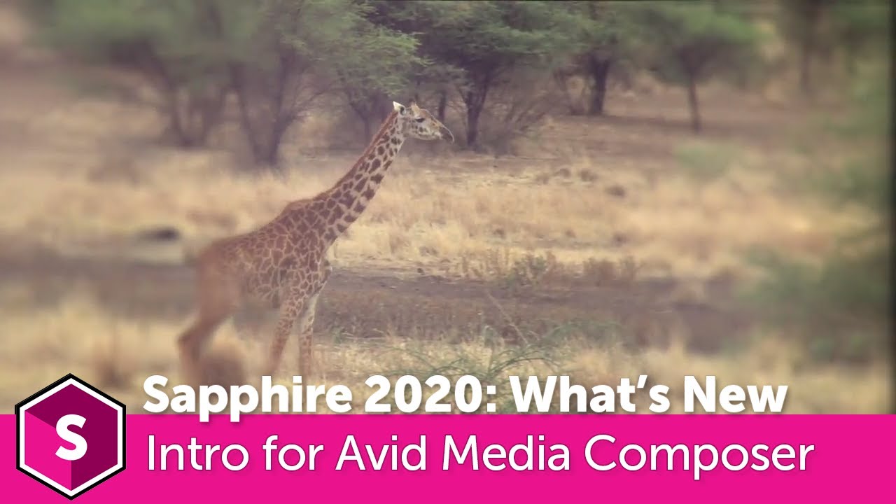 Sapphire 2020: Знакомство с новыми функциями Avid Media Composer