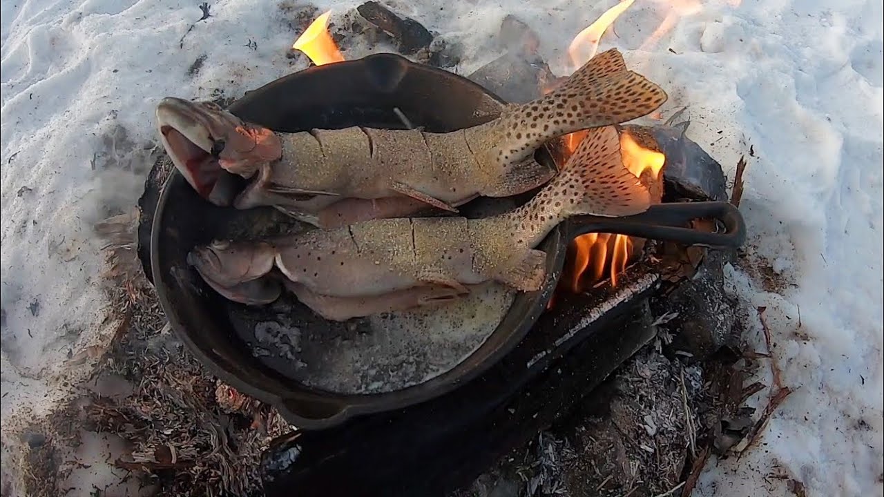 Cooking Trout Poor Man's Style! (Butter, Salt, Pepper)