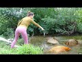 TOP VIDEOS: Fishing Techniques, Unique Fishing Video,  Survival Fishing | Catch A Lot Off Fish