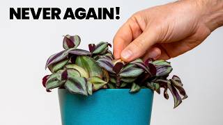 10 Popular Plants Ill Never Grow Again