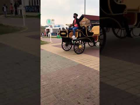 سارقين عربة سندريلا