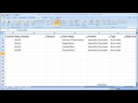 Data Analysis in Excel 3 - Filter Large Data Sets to Display Only Specific Information