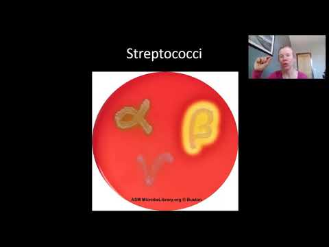 Microbiology Respiratory Infections