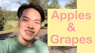 Apples and Grapes || Apple Orchard & Wine Tasting in Sacramento California || IMDEXSTAR YU