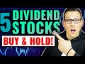 5 Dividend Stocks To Buy And Hold Forever (2022)