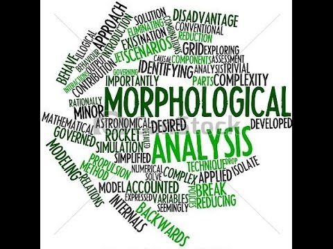 rt english linguistics morphological analysis dispiritedly morphology linguistics