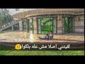اغنيه انا كنت فاكر انكو علشاني mp3