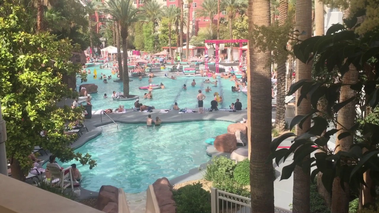 flamingo pool las vegas open flamingo pool las vegas open