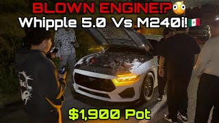 BLEW UP!? Whipple 5.0 Vs M240i! $1,900 Pot #Mustang #BMW #Ford 