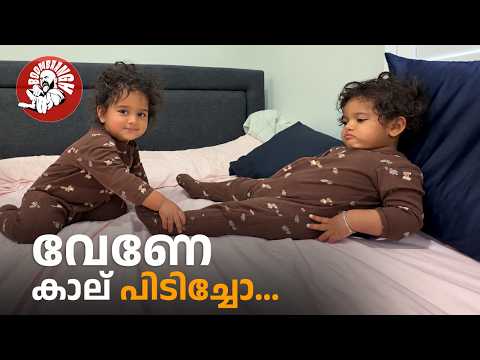Daily Vlog EP.209 | വേണേ കാല് പിടിച്ചോ... | Family Vlog | Malayalam | New Zealand | @BoomBaangh