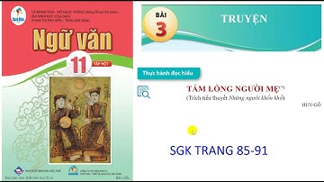 Ngữ văn 11: Bộ cánh diều: Bài 3: Thực hành đọc hiểu: TẤM LÒNG NGƯỜI MẸ