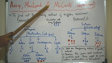 Avery, MacLeod & McCarty Transforming Principle Experiment