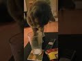 Milk Junkie Milk Junkie