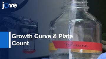 Solubilization & Bio-Conjugation: Quantum Dots & Bacterial Toxicity Assays l Protocol Preview