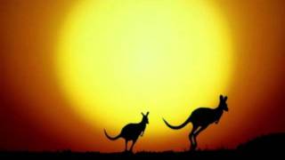 Tanzmann & Stefanik - Like Shrubbery